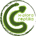 Logo 11