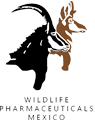 Logo 13