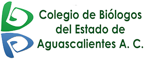 Logo 14
