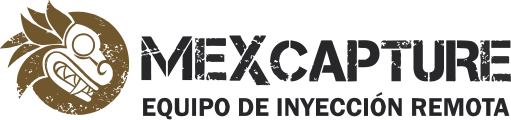 Logo 5